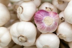 fresh garlic buds